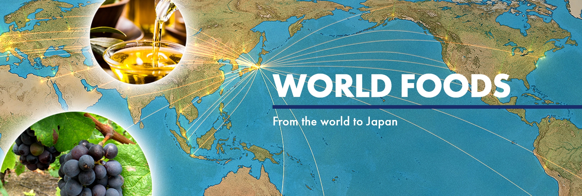 world foods from the world to japan